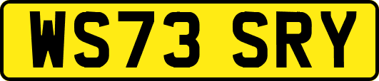 WS73SRY