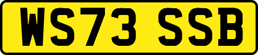 WS73SSB