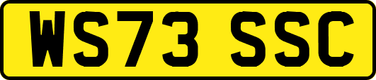 WS73SSC