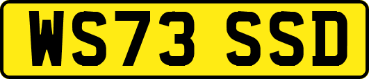WS73SSD