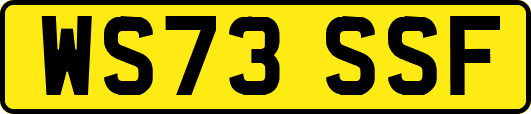 WS73SSF