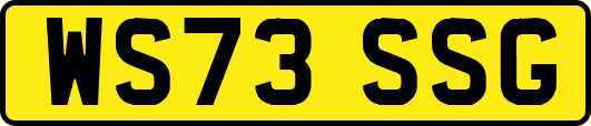 WS73SSG