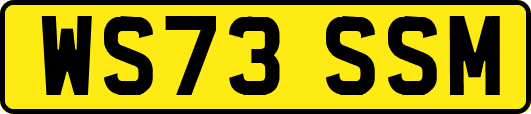 WS73SSM