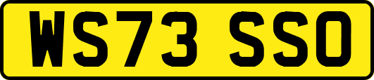 WS73SSO