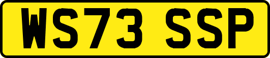 WS73SSP