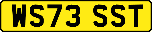 WS73SST