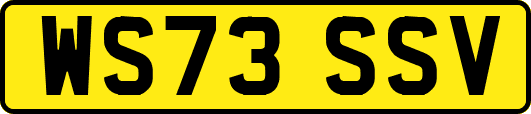 WS73SSV