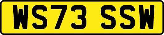 WS73SSW