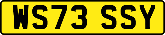 WS73SSY
