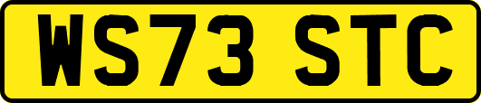 WS73STC