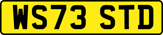 WS73STD