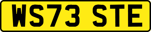 WS73STE