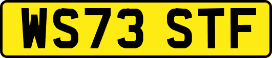 WS73STF