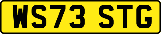 WS73STG
