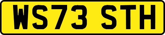 WS73STH