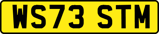 WS73STM