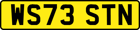 WS73STN