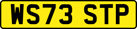 WS73STP