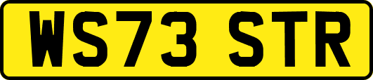 WS73STR