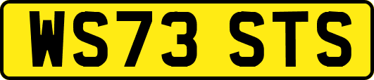 WS73STS