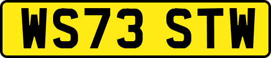 WS73STW