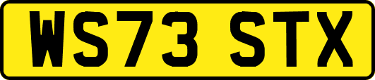 WS73STX