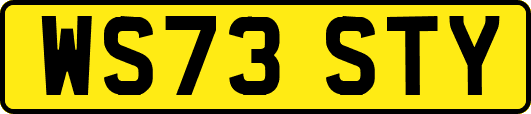 WS73STY