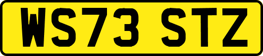 WS73STZ