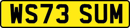 WS73SUM