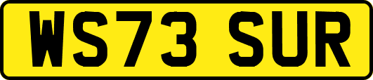 WS73SUR