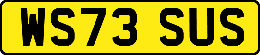 WS73SUS