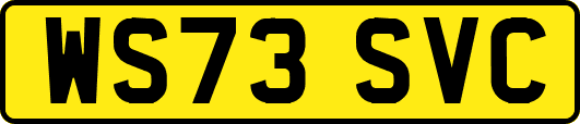 WS73SVC