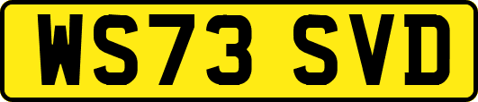 WS73SVD