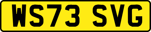 WS73SVG