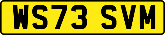 WS73SVM