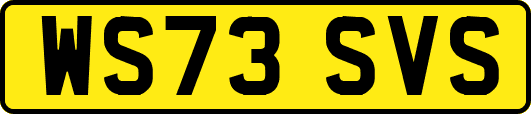 WS73SVS
