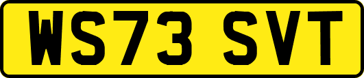 WS73SVT