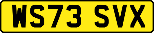 WS73SVX