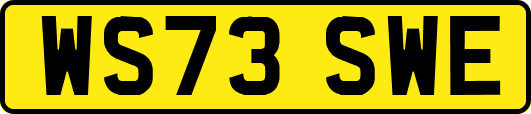 WS73SWE