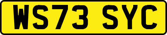 WS73SYC
