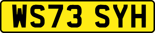 WS73SYH