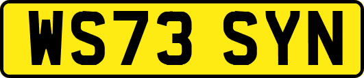 WS73SYN