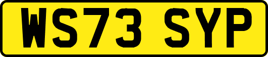 WS73SYP