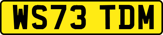 WS73TDM