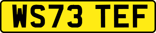 WS73TEF