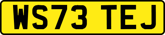WS73TEJ