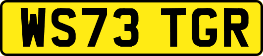 WS73TGR