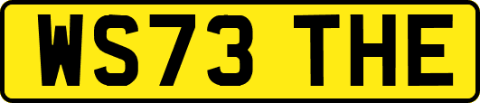 WS73THE