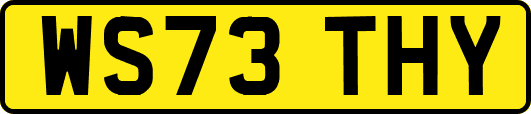 WS73THY