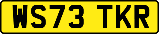 WS73TKR